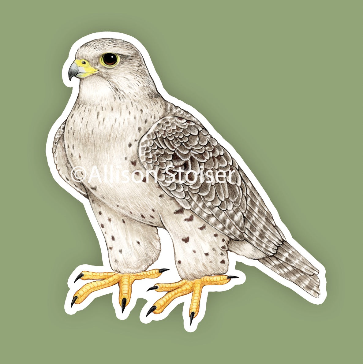 A mockup of a gyrfalcon sticker on a green background.