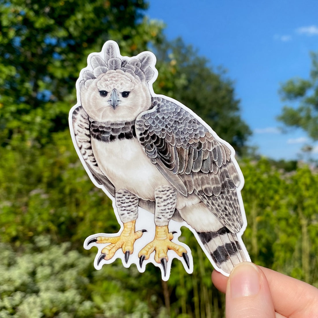 A hand holding a sticker of a harpy eagle.