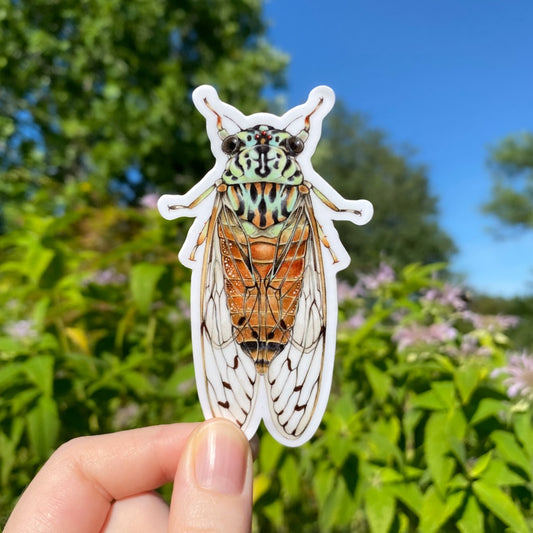 A hand holding a sticker of a hieroglyphic cicada.