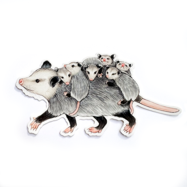 A weatherproof vinyl sticker of a mom opossum running to the side with babies on her back on a white background.