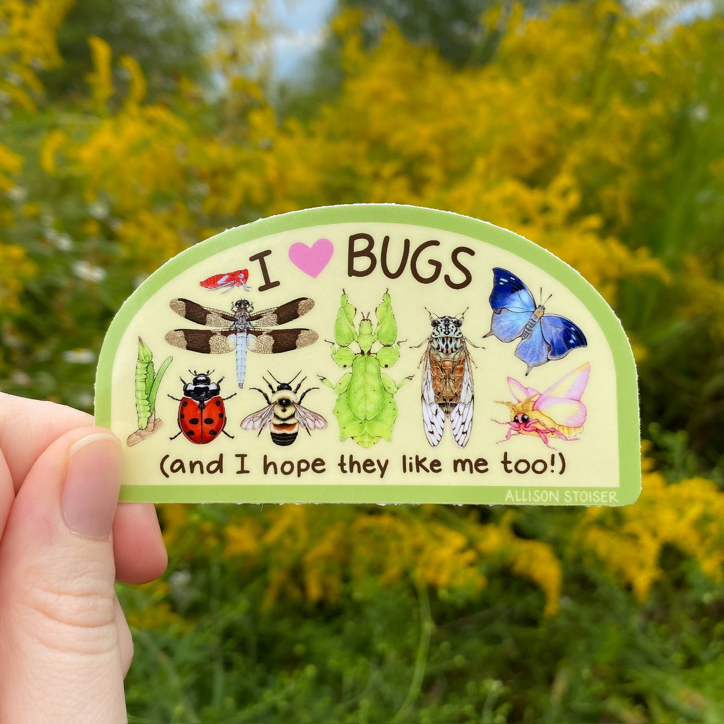 Sticker with illustrations of insects and text that reads 'I <3 Bugs and I hope they like me too!' held in front of a natural background