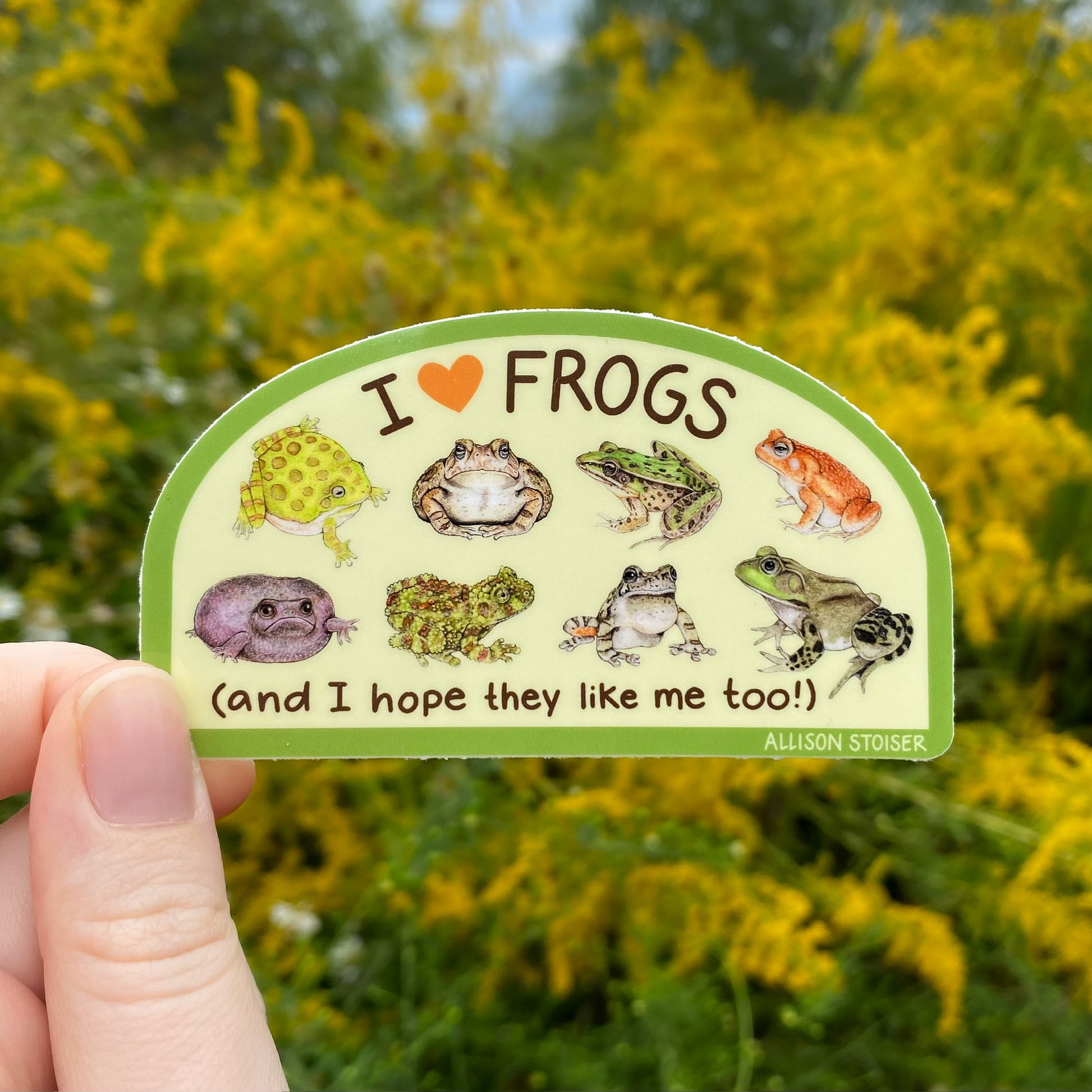 Sticker with frog illustrations and text that reads 'I ❤️ Frogs and I hope they like me too!' held in front of a natural background