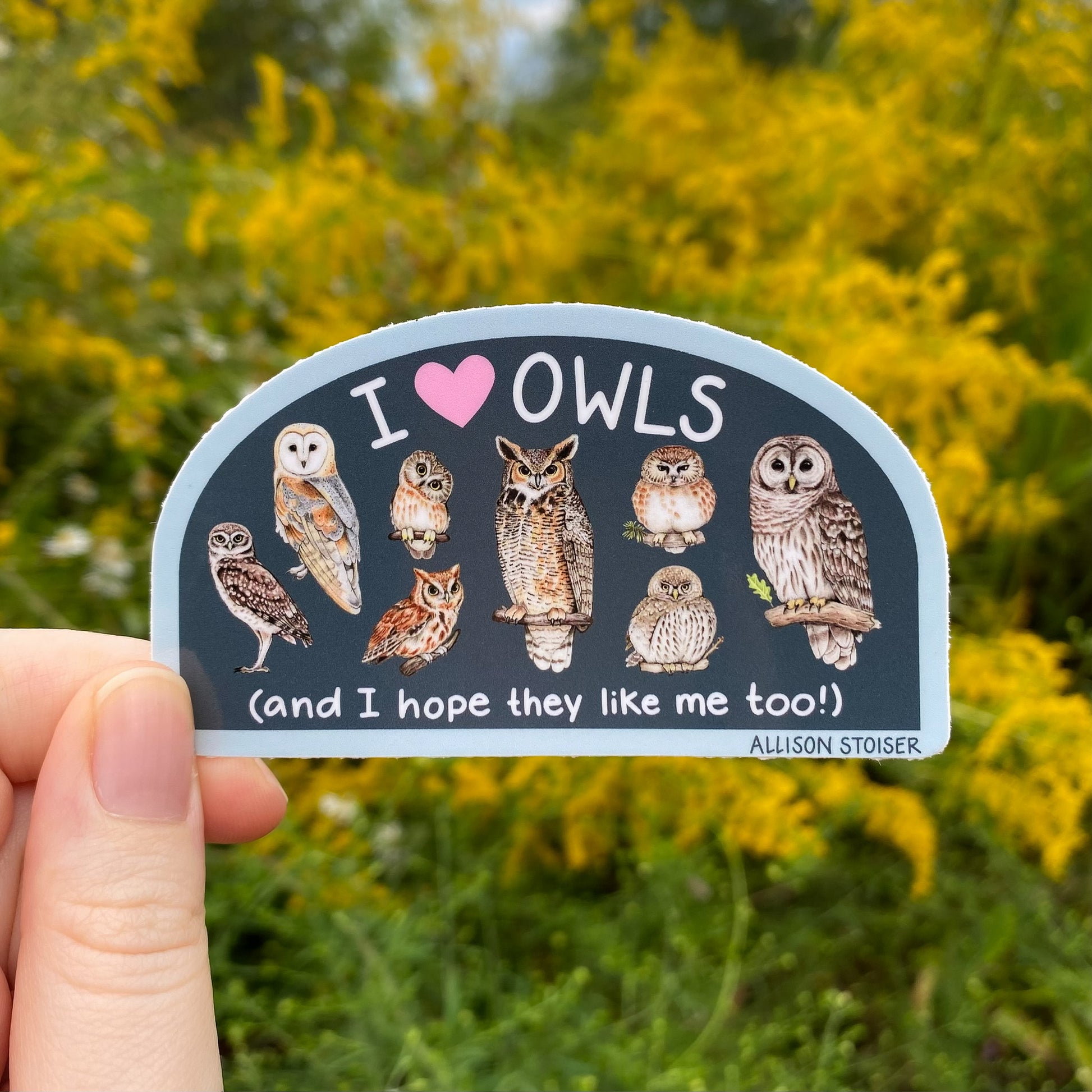 Sticker with owl illustrations and text that reads 'I ❤️ Owls and I hope they like me too!' held in front of a natural background 