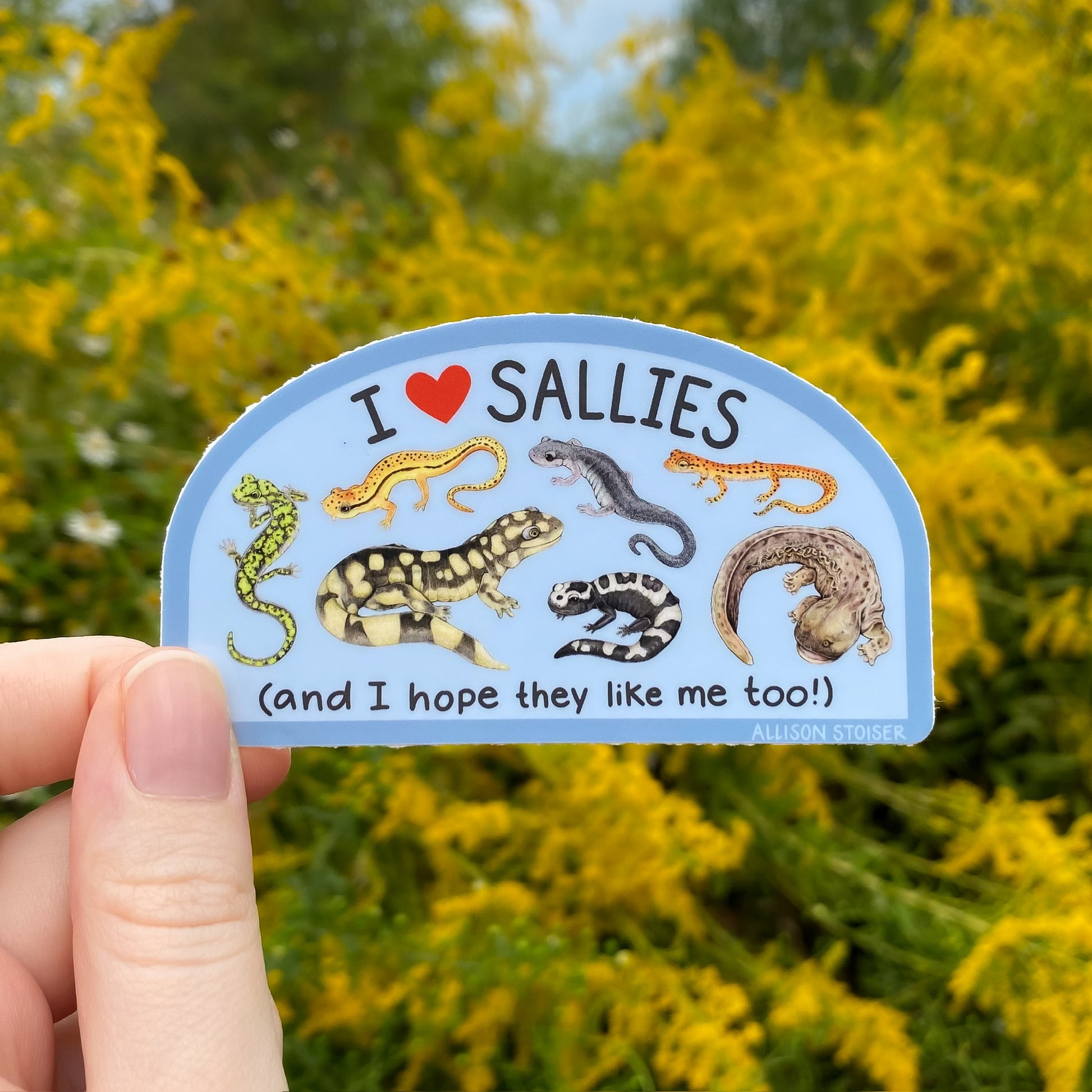 Sticker with illustrations of salamanders and text that reads 'I ❤️ Sallies and I hope they like me too!' held in front of a natural background