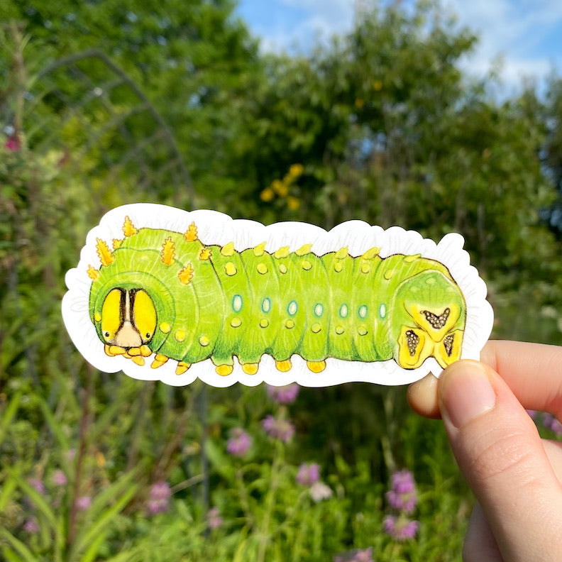 A hand holding a large sticker of a green imperial moth caterpillar with yellow horns.