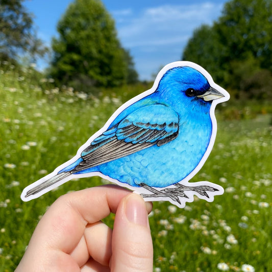 A hand holding a sticker of an indigo bunting bird.