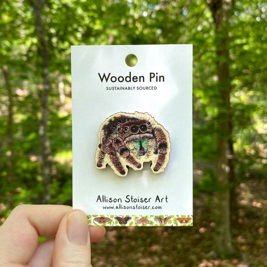 A wooden pin of a jumping spider
