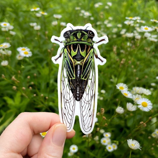 Hand holding a cicada sticker with a natural background of green foliage and white flowers.