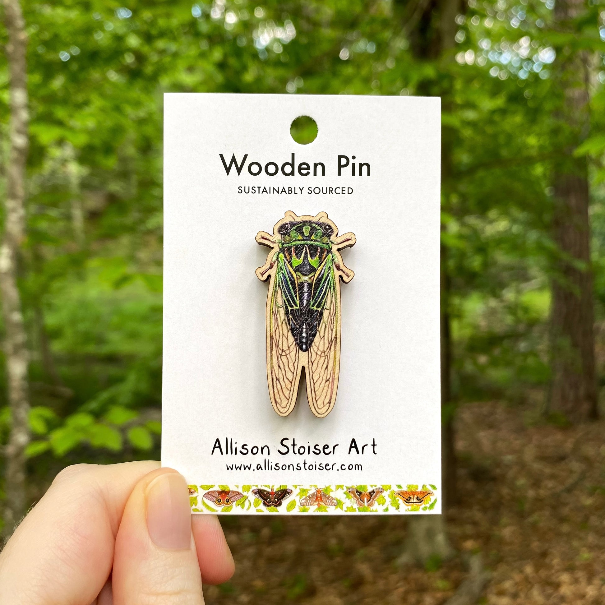 A wooden pin of a Linne’s cicada
