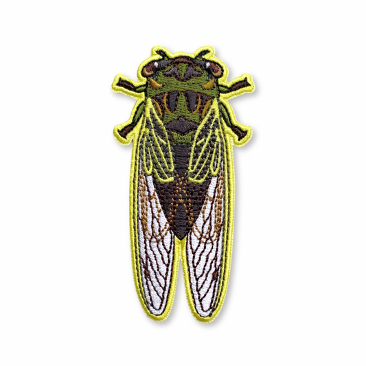 Embroidered cicada patch on a white background