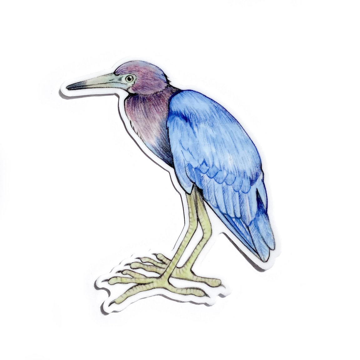 A sticker of a little blue heron on a white background.