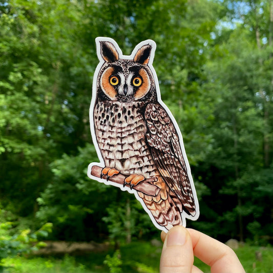 Long-eared Owl Weatherproof Vinyl Sticker