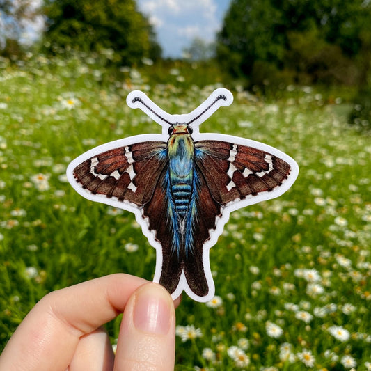 A hand holding a sticker of a long-tailed skipper.