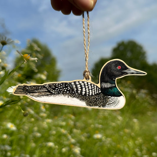 A wooden loon ornament with a natural wood grain finish, featuring a detailed black, white, and green painted design, hanging from a hand outdoors in a grassy field.