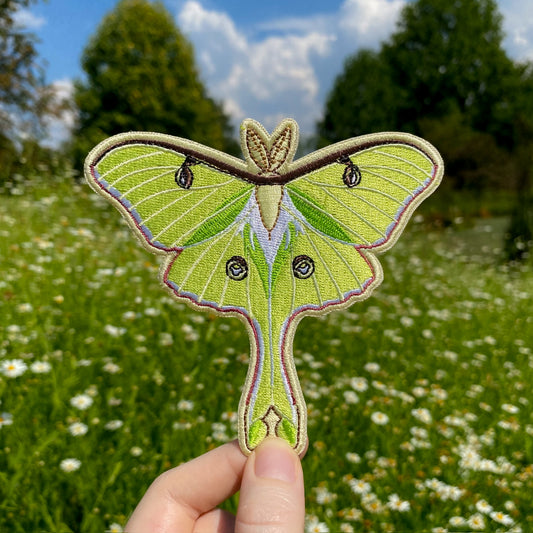 A hand holding an embroidered patch of a green luna moth.