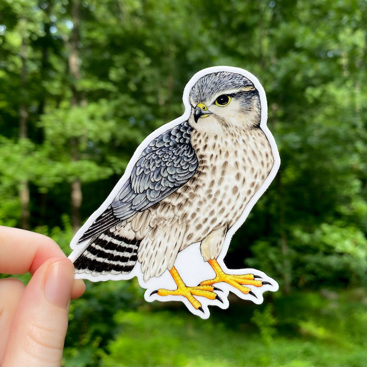 A hand holding a sticker of a merlin.