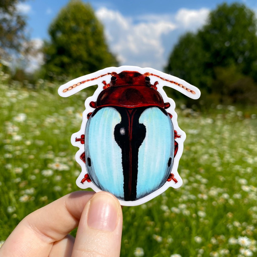 A hand holding a sticker of a round, mint-colored leaf beetle.