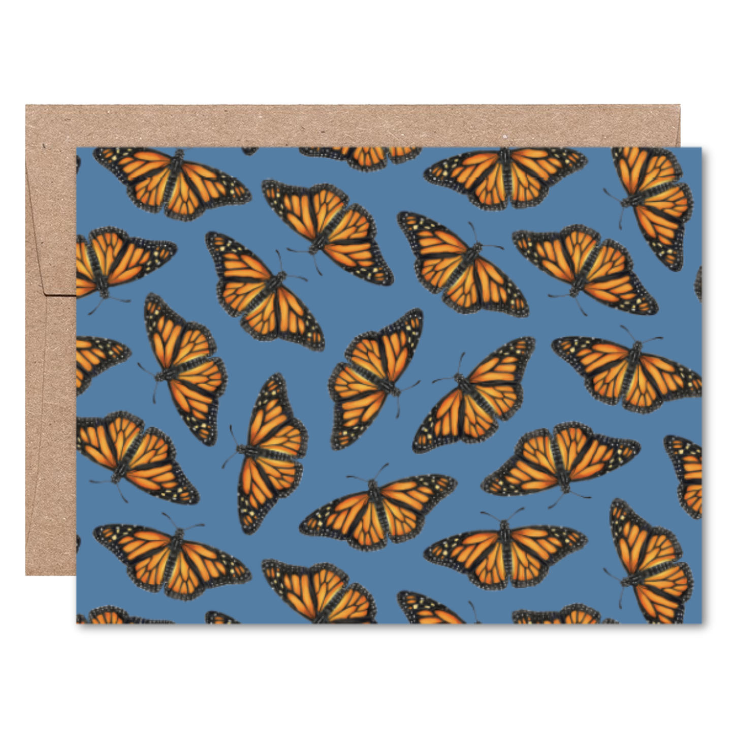 Moths and Butterflies Boxed Card Set