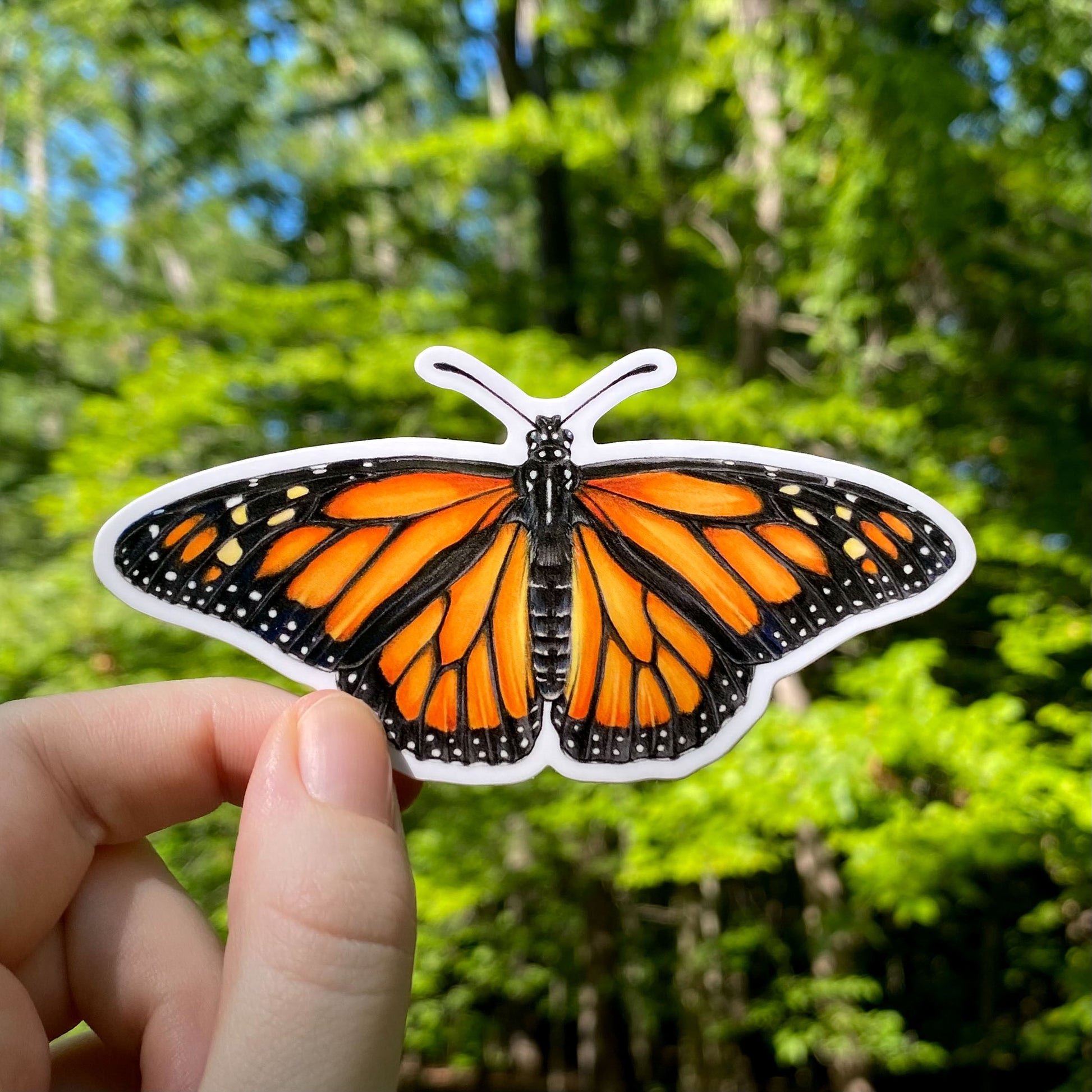 A sticker of a monarch butterfly.