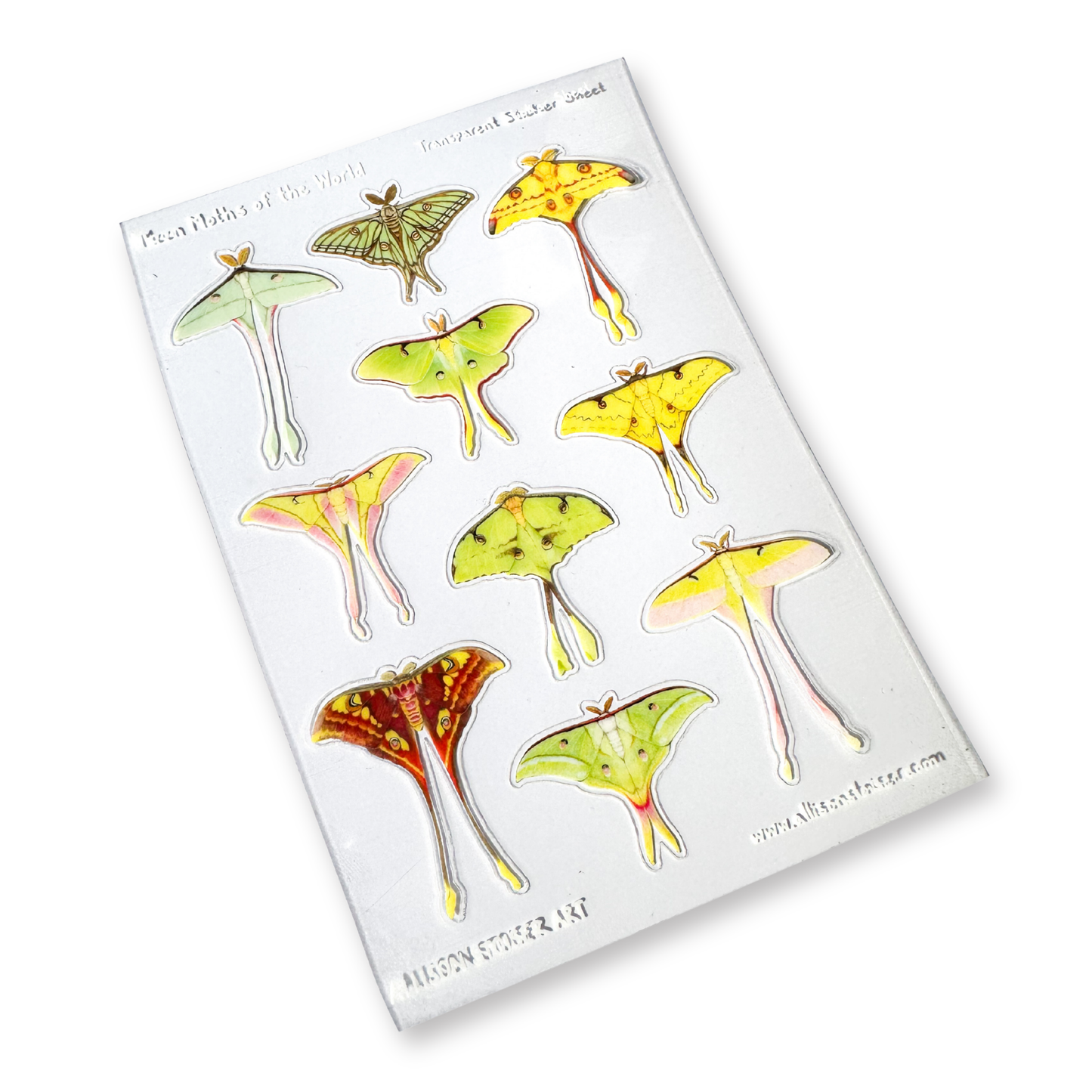 Transparent sheet of moth stickers on a white background