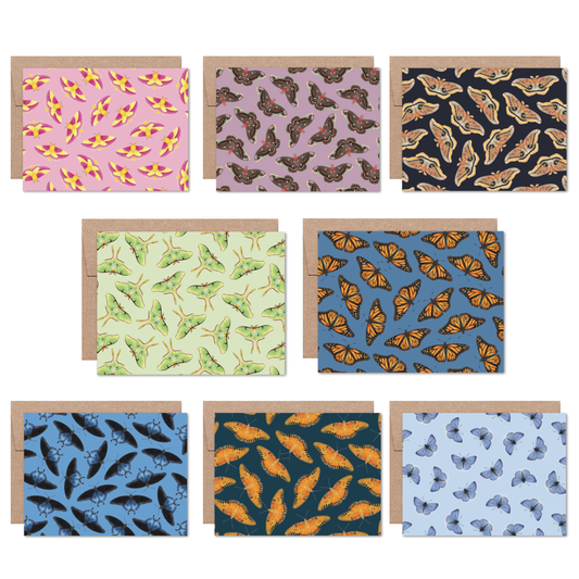 Moths and Butterflies Boxed Card Set