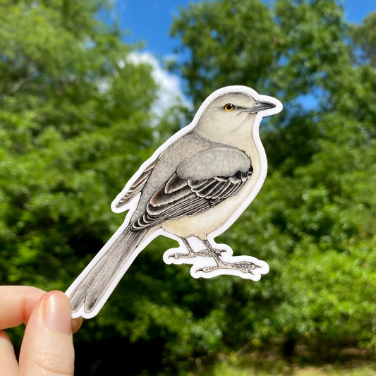 Vinyl sticker of a northern mockingbird
