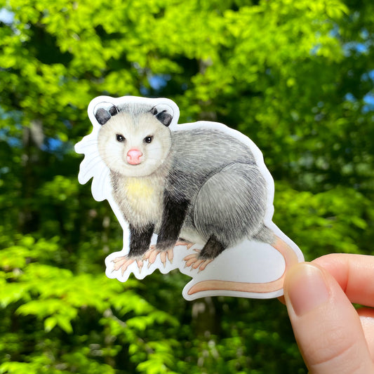 Herbie the Opossum Weatherproof Vinyl Sticker
