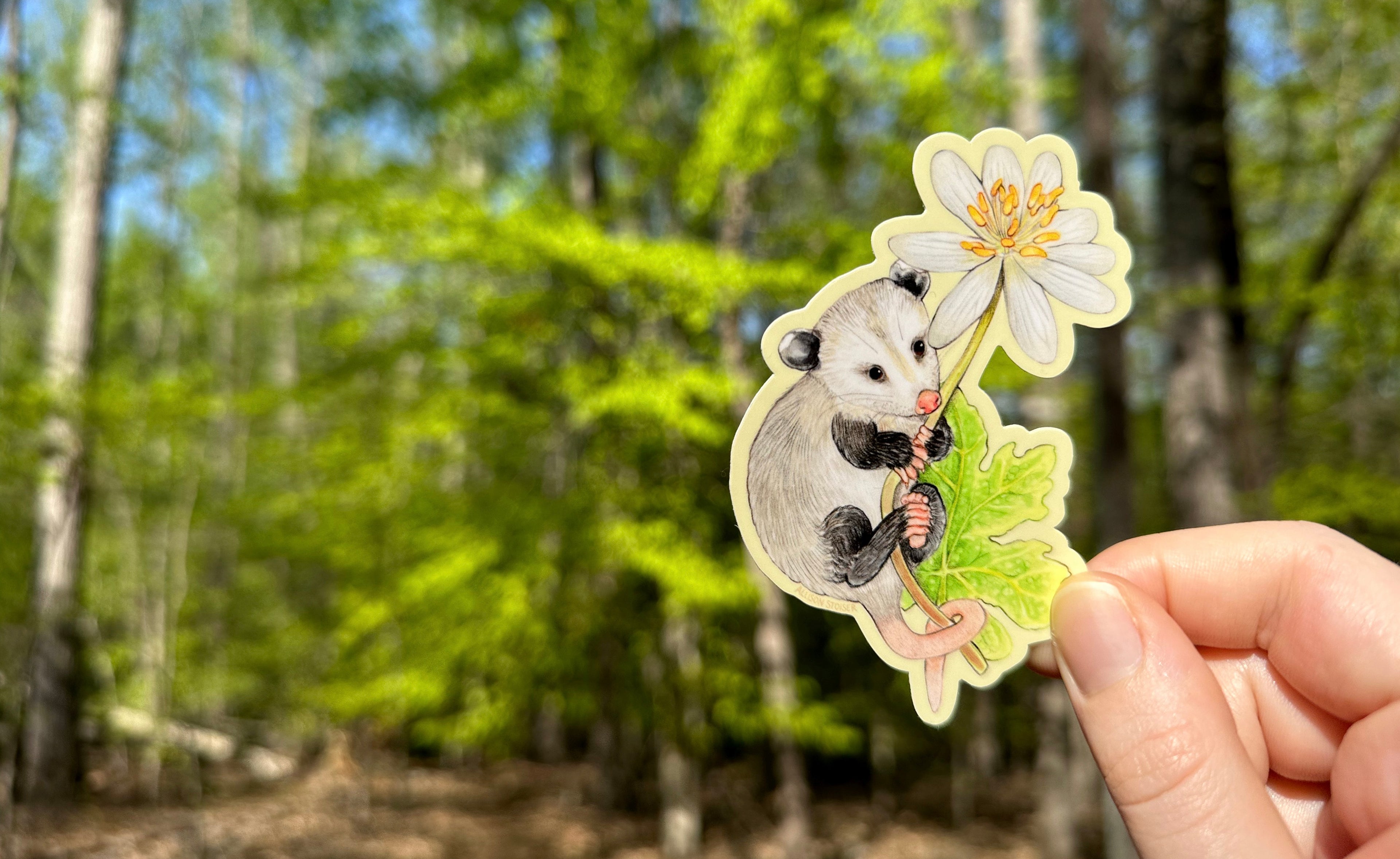 sticker of opossum with bloodroot in front of a forest background