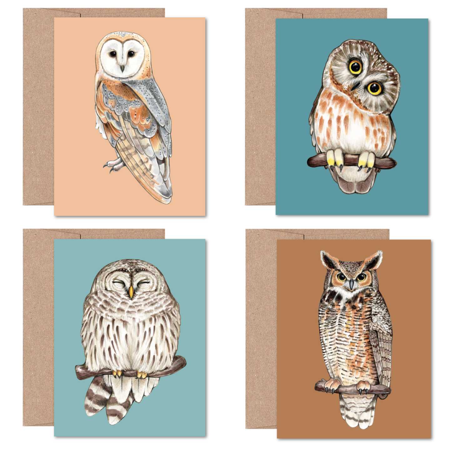 North American Owls Boxed Card Set