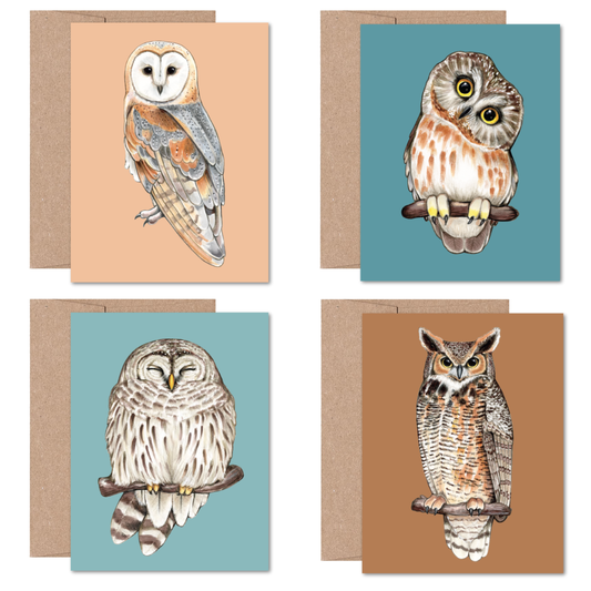 North American Owls Boxed Card Set