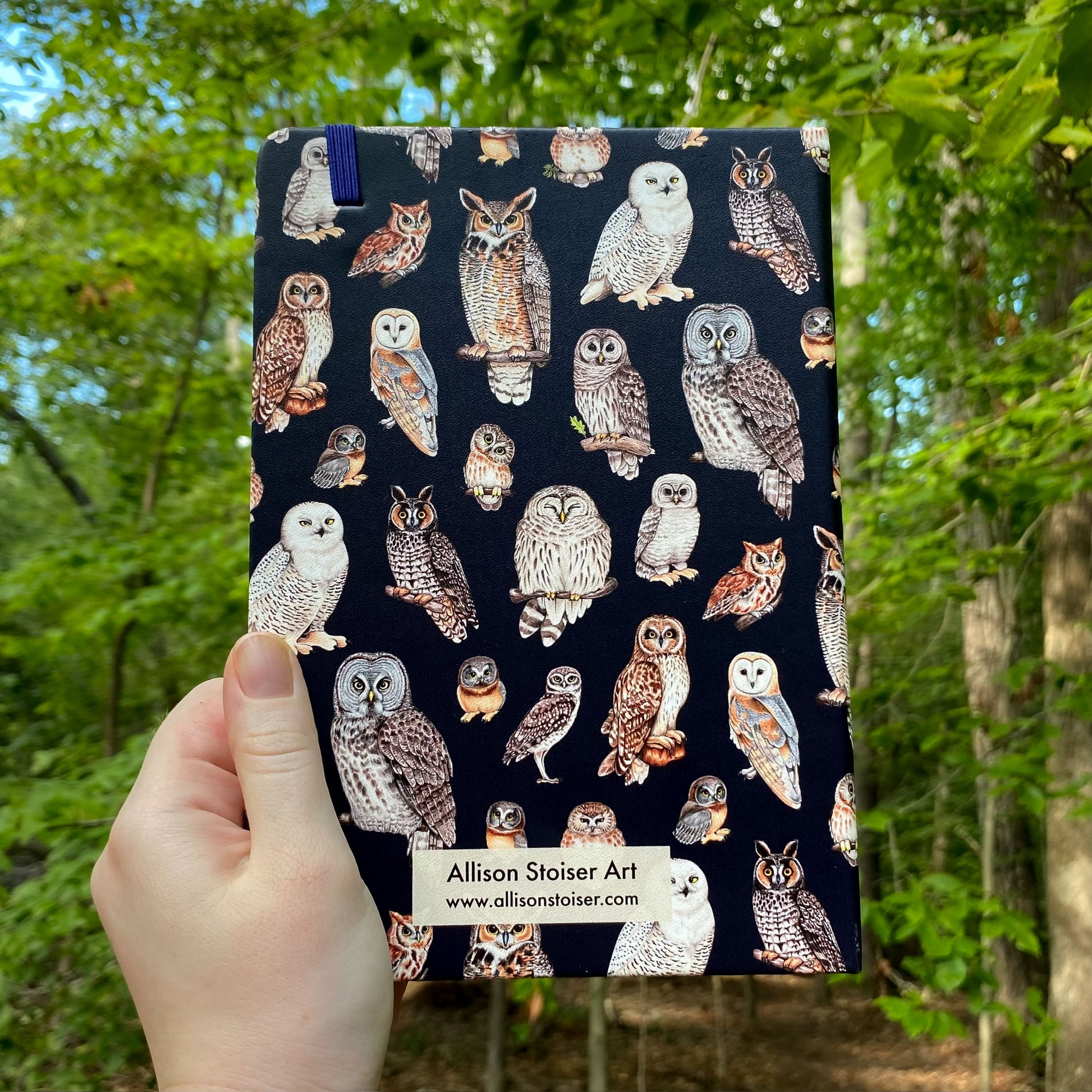 Notebook with owl pattern held by a hand in front of a forest background