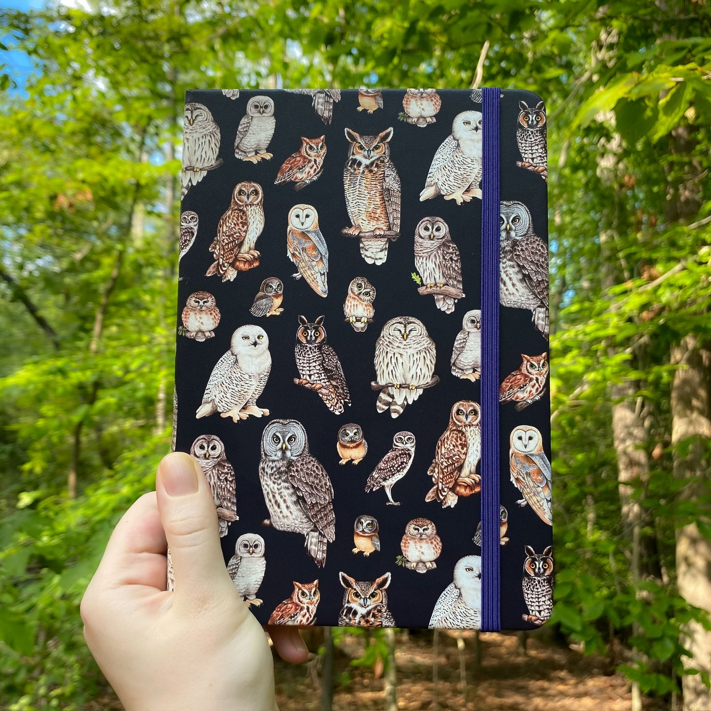 Notebook with owl pattern held in front of a forest background