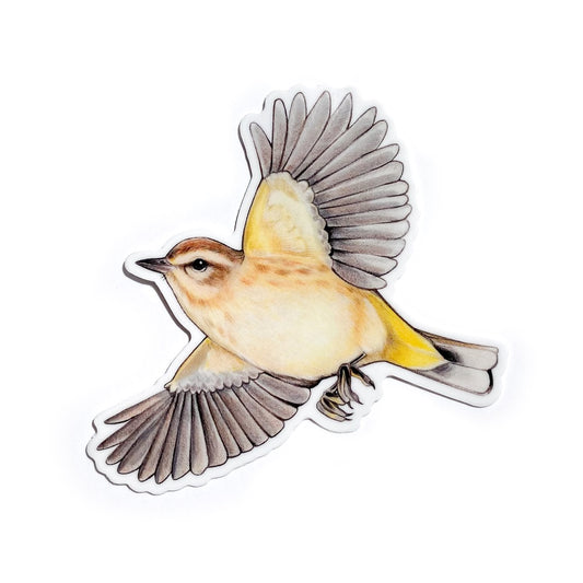 A sticker of a palm warbler on a white background.