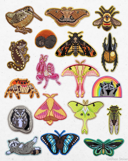 A collection of insect and nature-themed embroidered patches arranged on a light textured background, including a moths, birds, butterflies, raccoons, and insects.