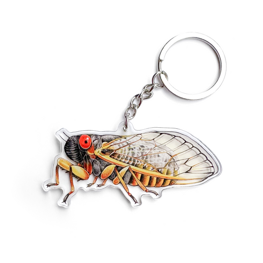 A keychain of a periodical cicada on a white background.