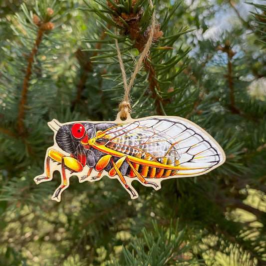 Periodical Cicada Ornament