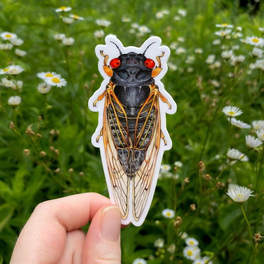 Hand holding a cicada sticker with a natural background of greenery and flowers