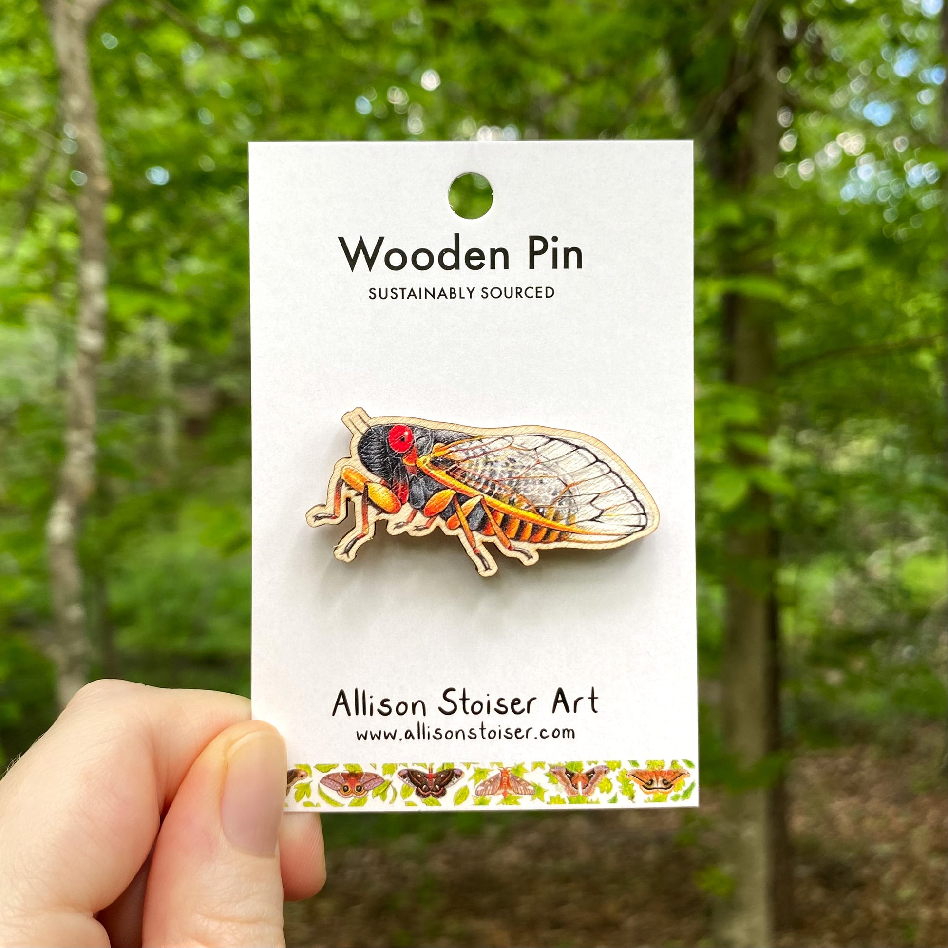 A wooden pin of a periodical cicada