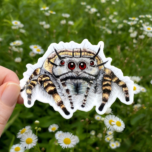 Sticker of a spider held in front of a natural background with flowers