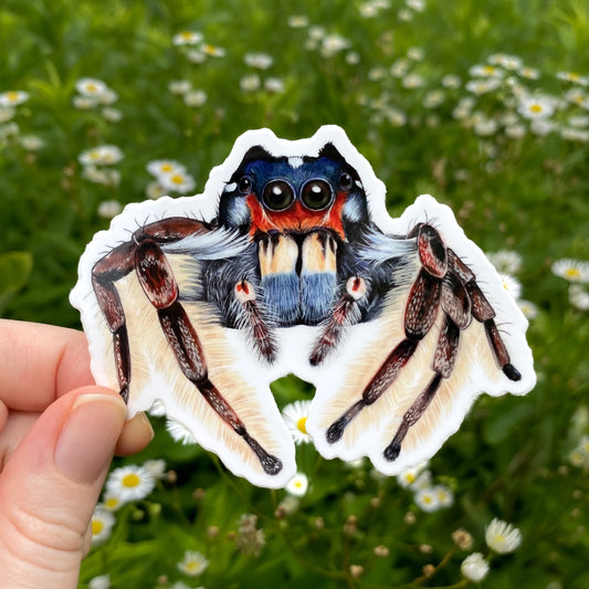 Jumping spider sticker held by a hand with a natural background of greenery and flowers