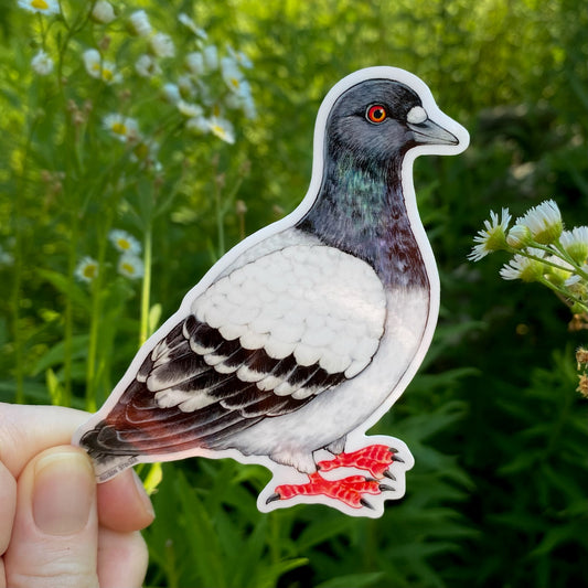 Vinyl sticker of a pigeon held in front of a background with flowers