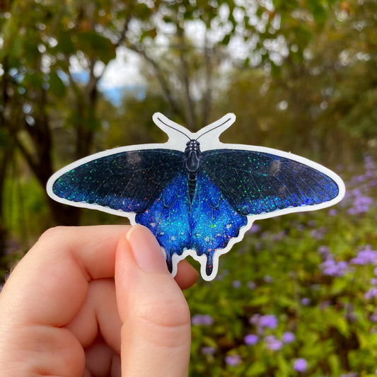 Hand holding a pipevine swallowtail butterfly sticker with a natural background of trees and flowers.