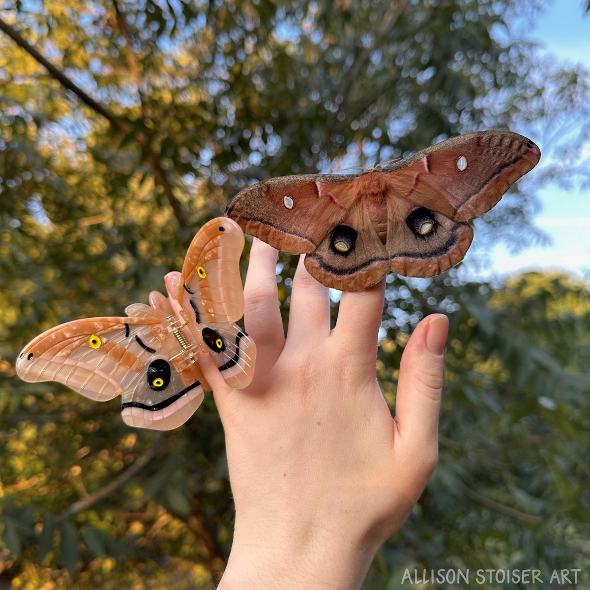 Polyphemus moth hair claw with polyphemus moth