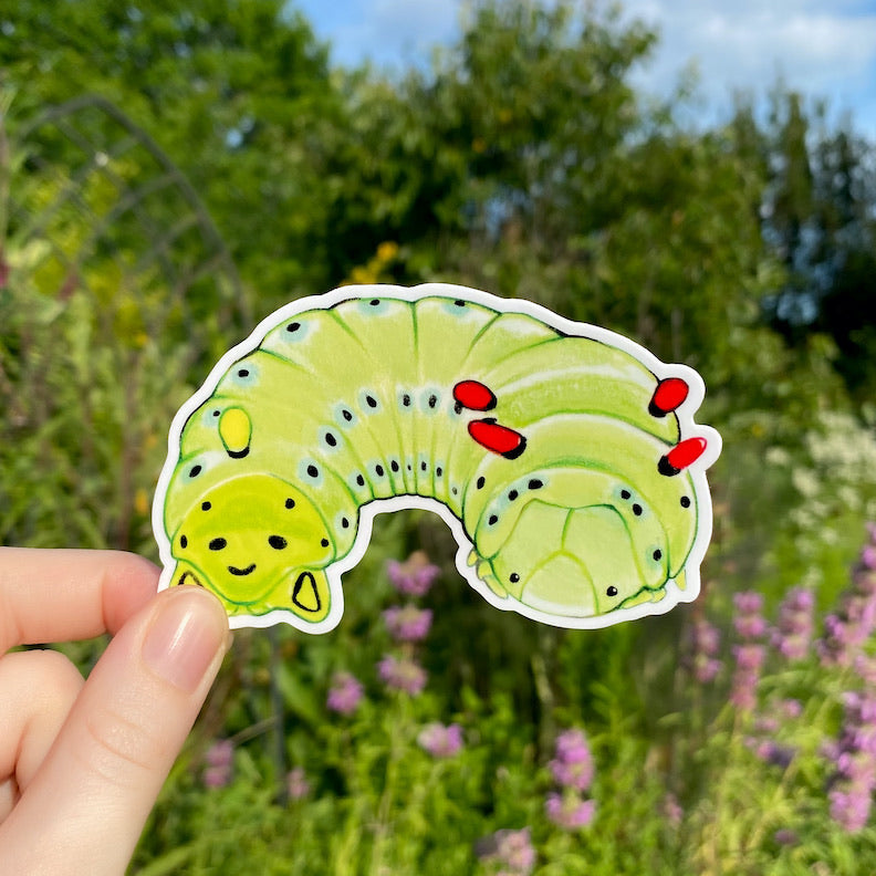 A hand holding a sticker of a curled up Promethea moth caterpillar.