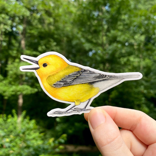 A hand holding a sticker of a prothonotary warbler.