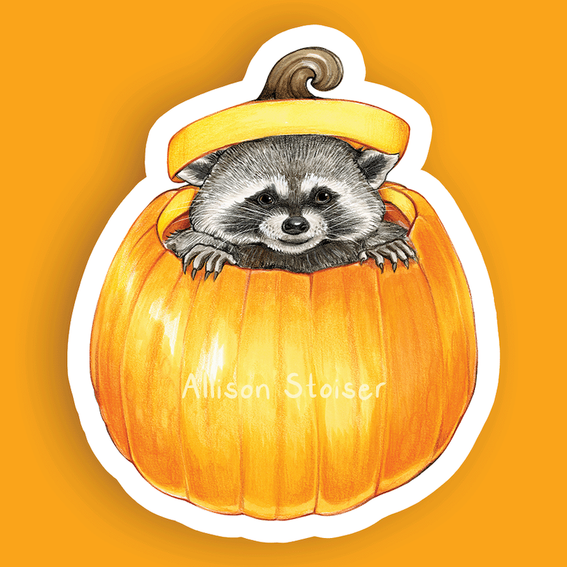 A mock-up of a vinyl sticker of a raccoon peeking out of a pumpkin on an orange background.