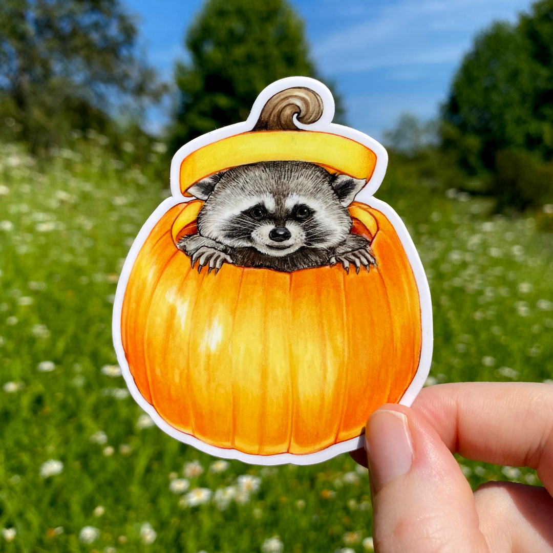 A hand holding a picture of a sticker featuring an illustration of a raccoon popping out of a pumpkin.