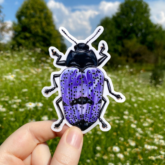 A hand holding a sticker of a purple pleasing fungus beetle of the Gibbifer genus.