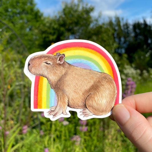 A hand holding a vinyl sticker of a capybara in front of a rainbow.