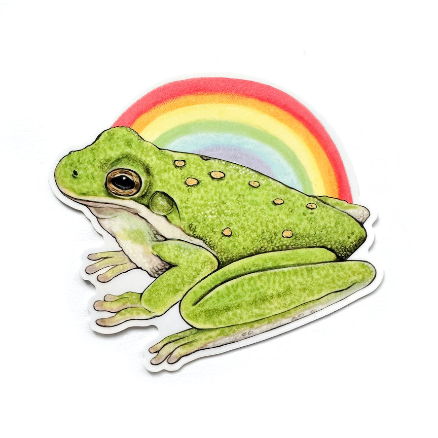 A weatherproof vinyl sticker of a tree frog in front of a rainbow on a white background.